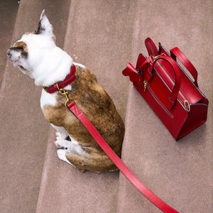 4 of 7: Madison Leo Dog Leash-Tusk