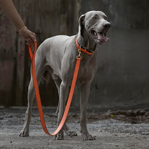 tusk 004 madison leather dog leash orange model 01 - ORANGE