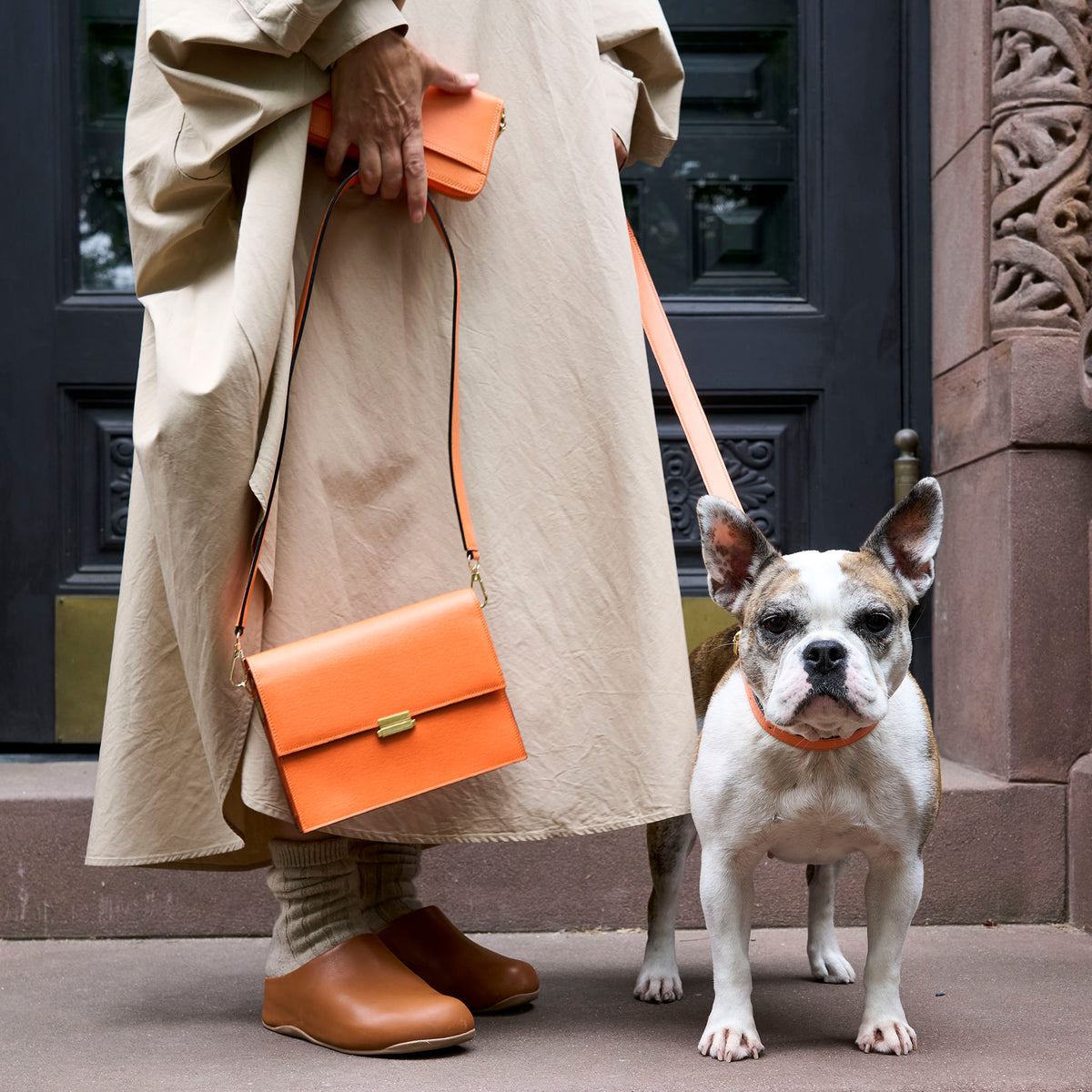 tusk 004 madison leather dog leash orange model 03 - ORANGE